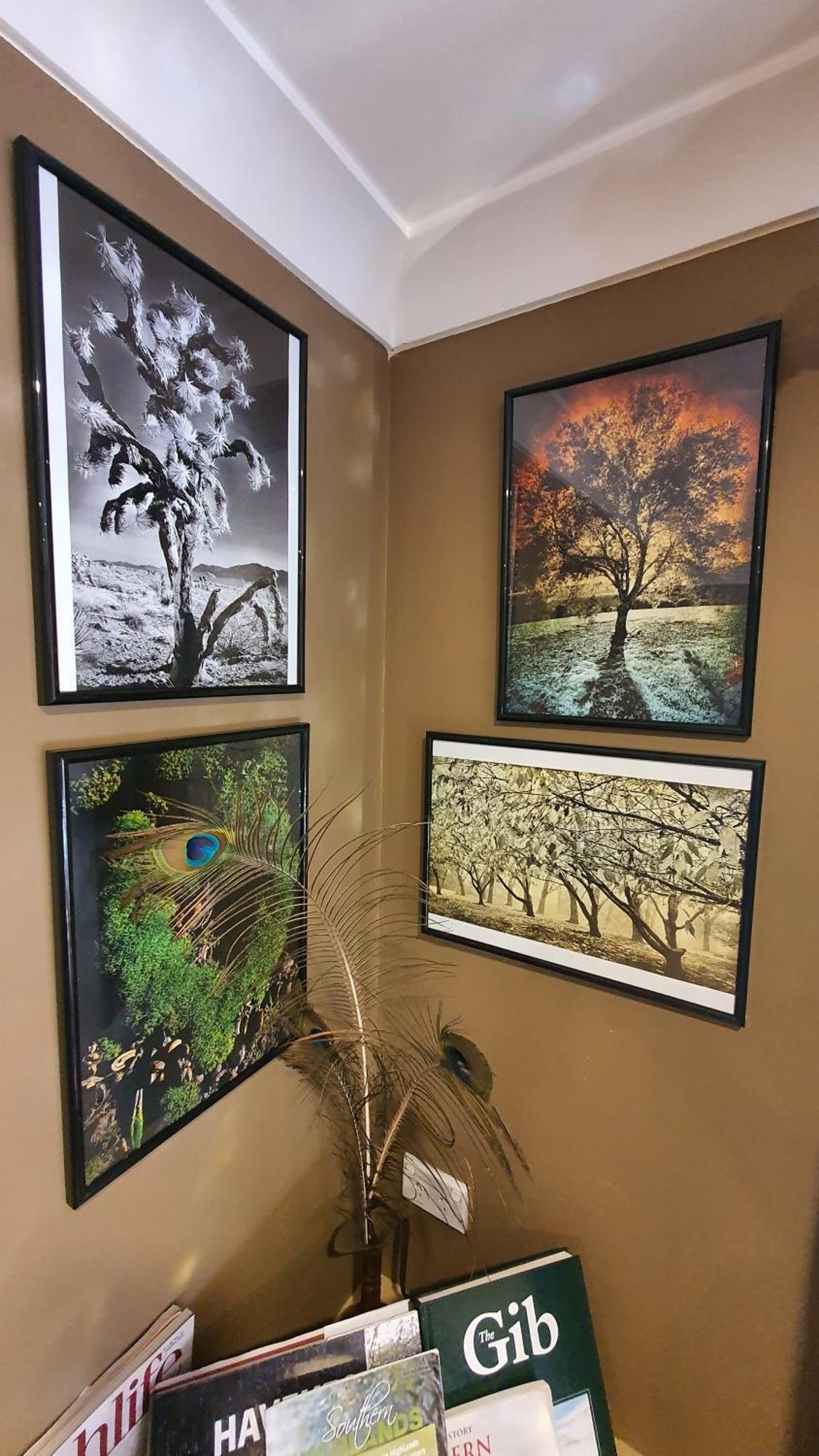 Bowral Road Art Gallery Bed And Breakfast Mittagong Kültér fotó