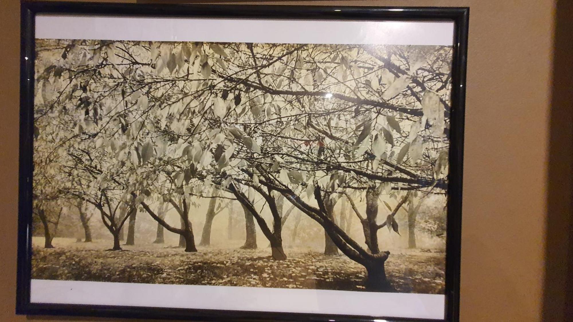 Bowral Road Art Gallery Bed And Breakfast Mittagong Kültér fotó