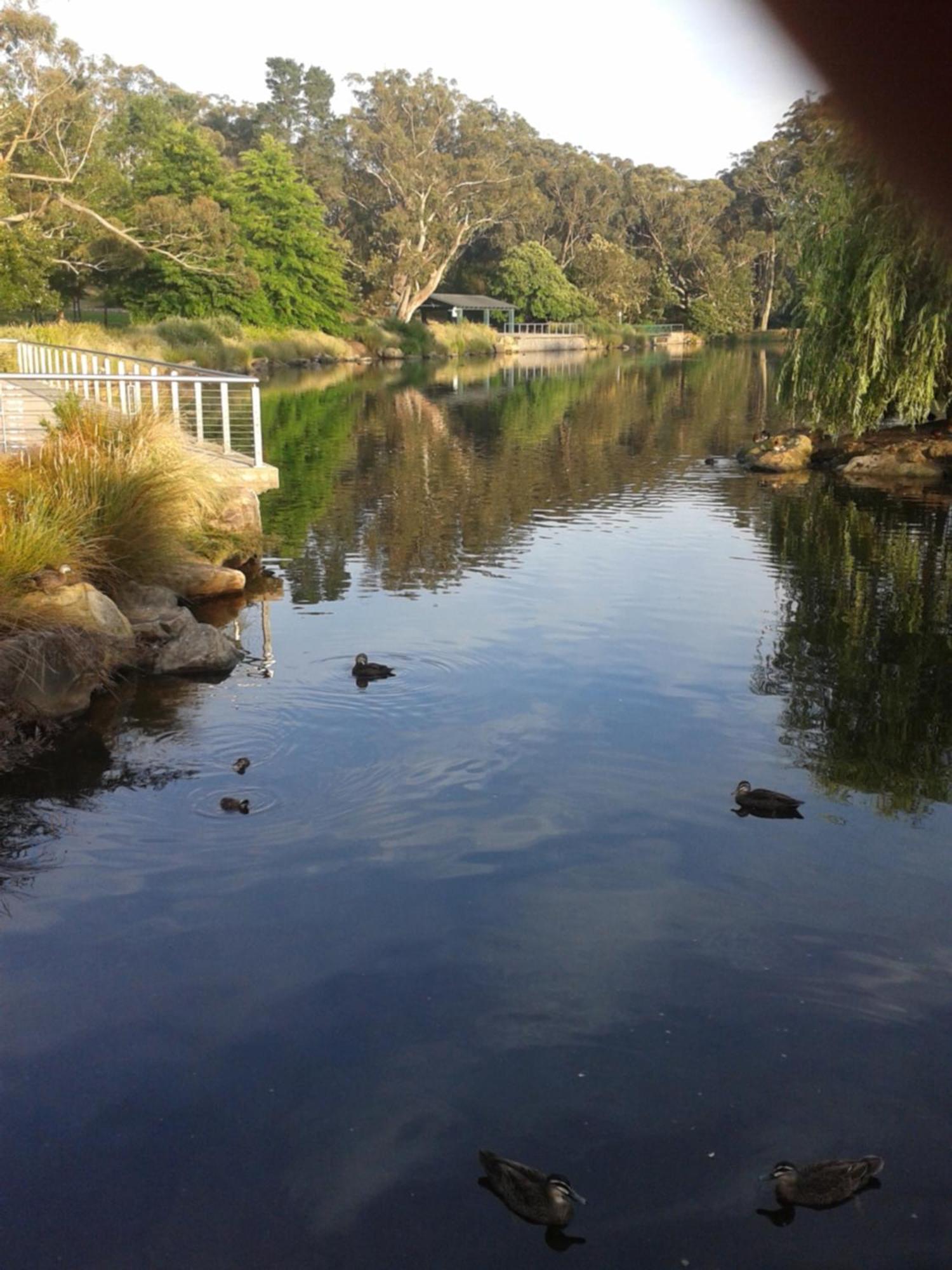 Bowral Road Art Gallery Bed And Breakfast Mittagong Kültér fotó