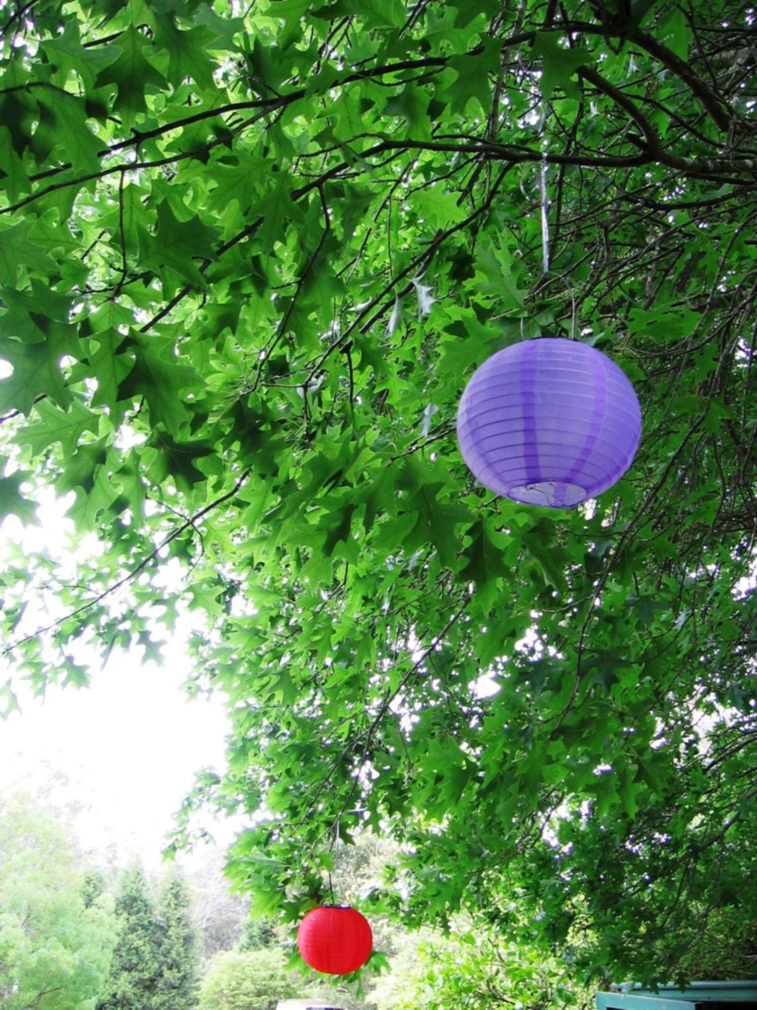 Bowral Road Art Gallery Bed And Breakfast Mittagong Kültér fotó