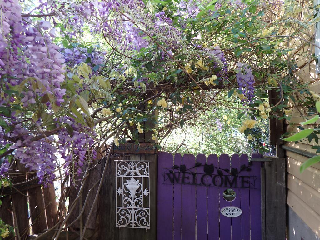 Bowral Road Art Gallery Bed And Breakfast Mittagong Kültér fotó